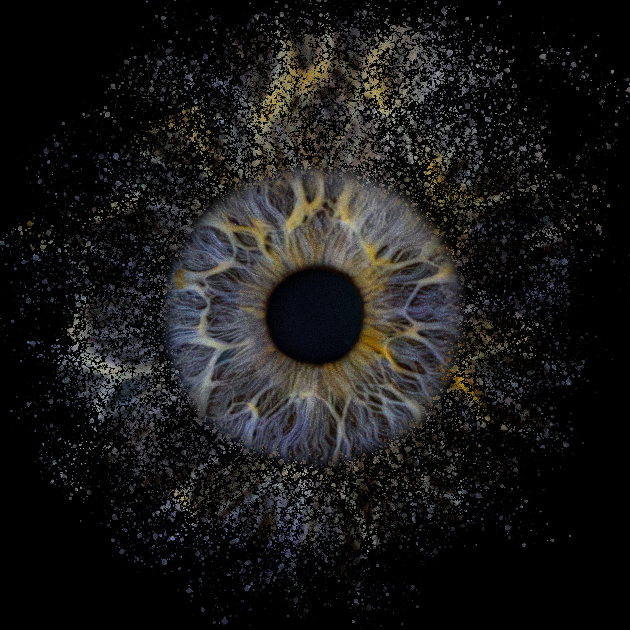 Iris foto